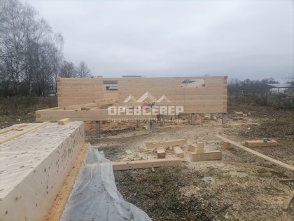 WhatsApp Image 2023-11-24 at 16.21.06 WhatsApp Image 2023-11-24 at 16.21.06